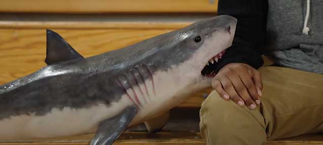 Not that Weird Mental Health